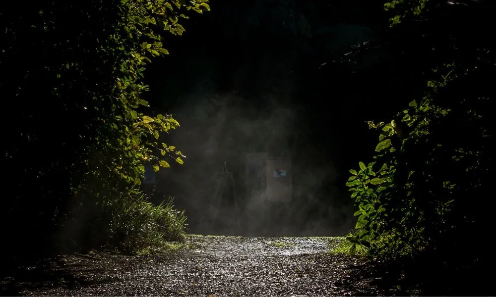 Zealandia by Night Tour | Experience OZ-2