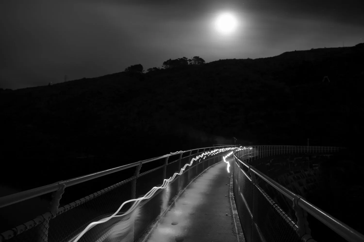 Zealandia by Night Tour | Experience OZ-5