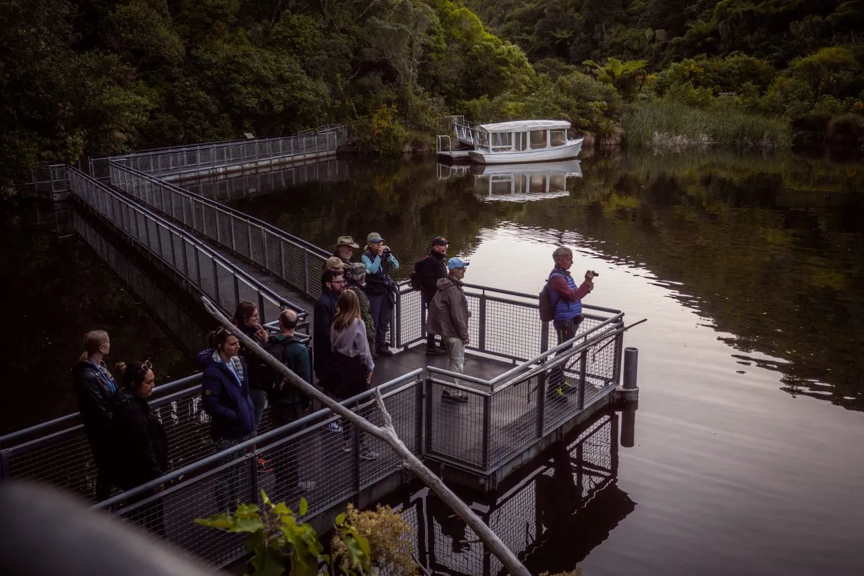 Zealandia by Night Tour | Experience OZ-8