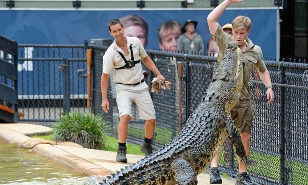 Australia Zoo & Mooloolaba Beach Full Day Tour from Brisbane | Experience Oz-1