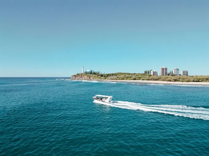 Mooloolaba Turtle Tour with Boat Adventure - Book Now | Experience Oz