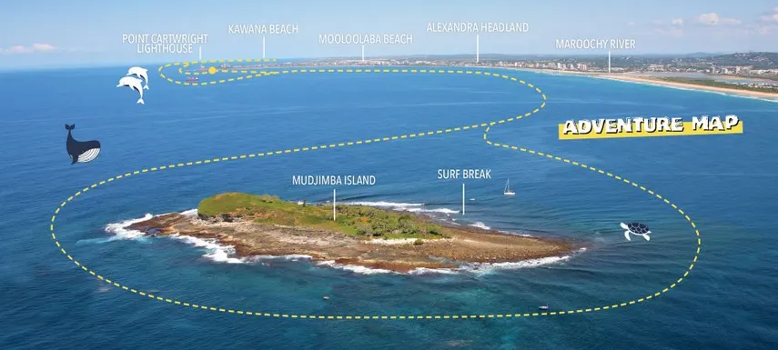 Mooloolaba Turtle Tour with Boat Adventure - Book Now | Experience Oz