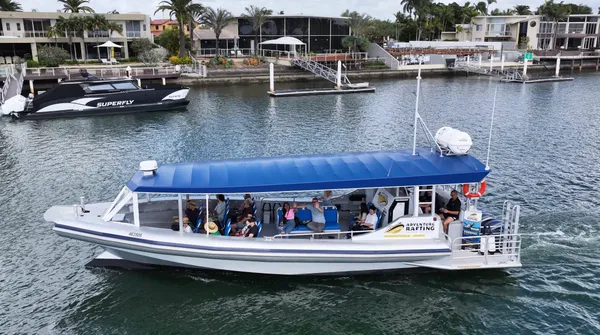Mooloolaba Turtle Tour with Boat Adventure