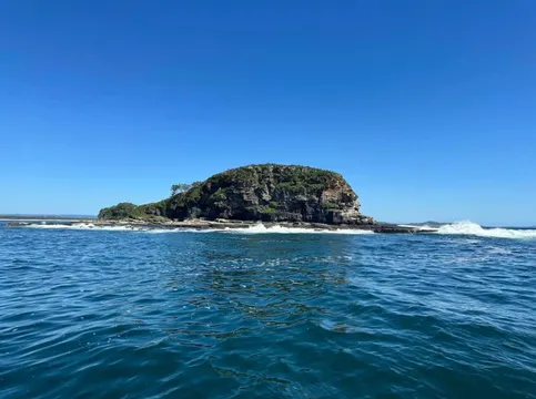 Mooloolaba Turtle Tour with Boat Adventure