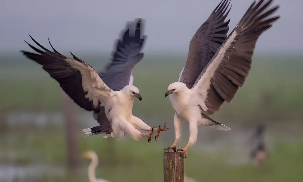 Finniss River Lodge Air and Ground Tour - Book Now | Experience Oz-6