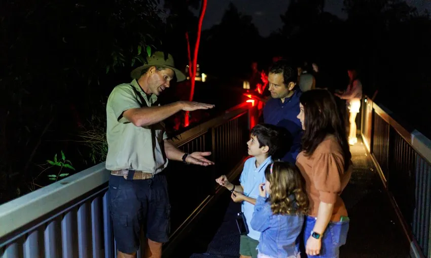 Lone Pine Koala Sanctuary Nocturnal Tour - Book Now | Experience Oz