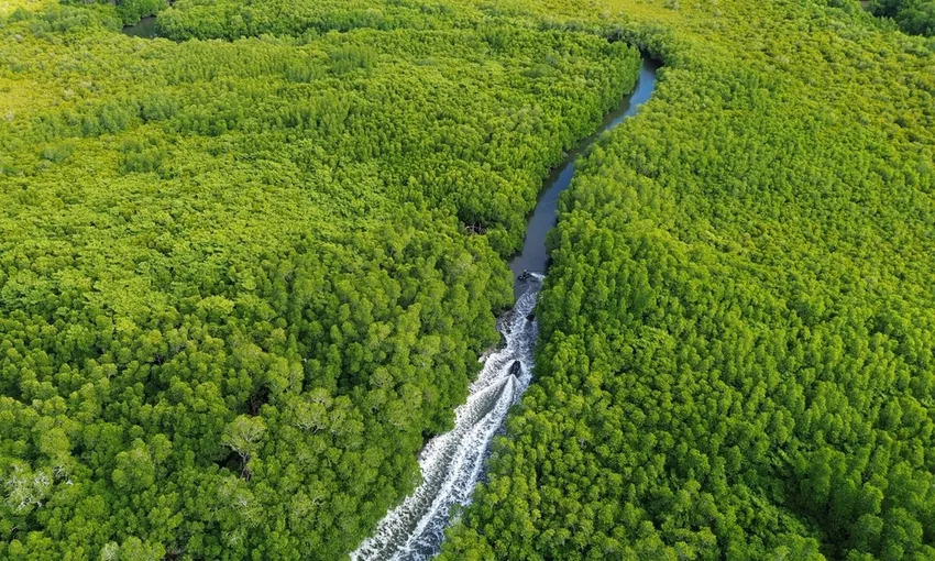 Cairns Guided Jet Ski Tour - 30 or 60 Minutes