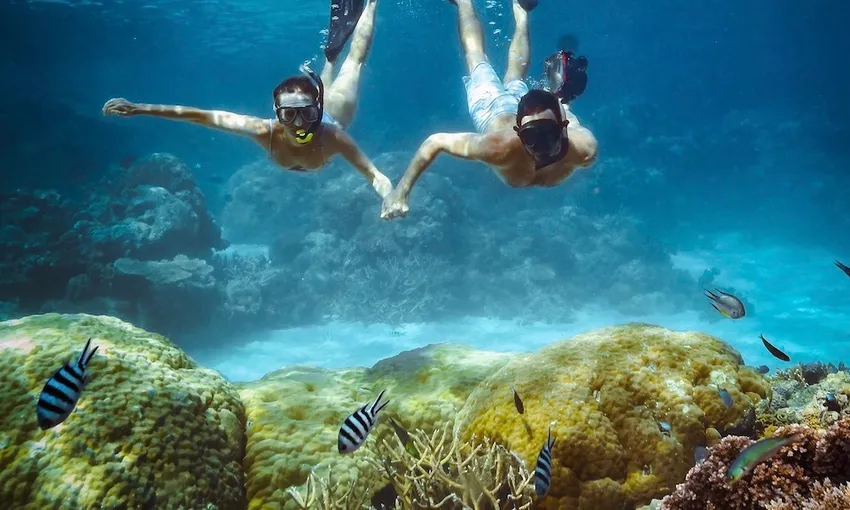 Great Barrier Reef Snorkel and Dive Cruise