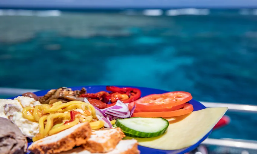 Great Barrier Reef Snorkel and Dive Cruise