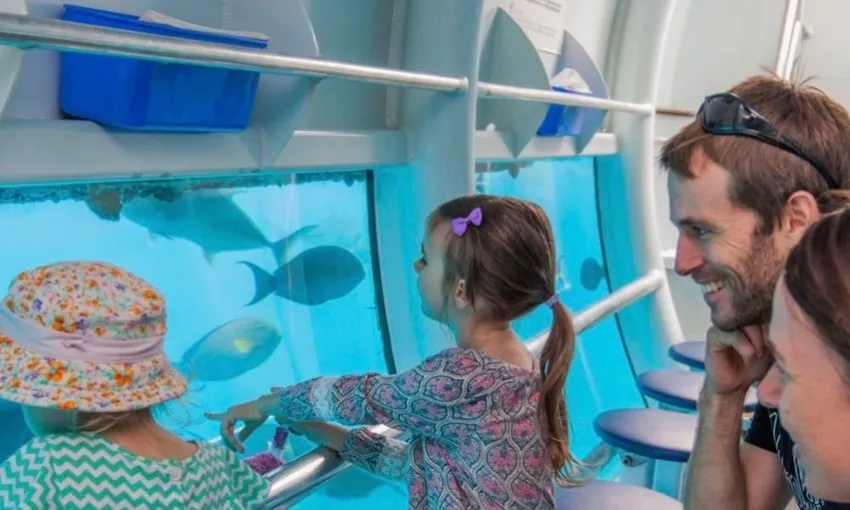 Great Barrier Reef & Fitzroy Island Full Day Tour