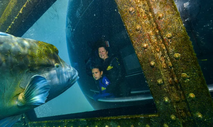 Cruise to Reef Magic Pontoon - Great Barrier Reef 