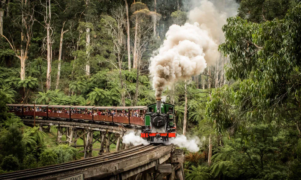 Puffing Billy Railway From Belgrave to Lakeside - Buy Now | Experience Oz-1