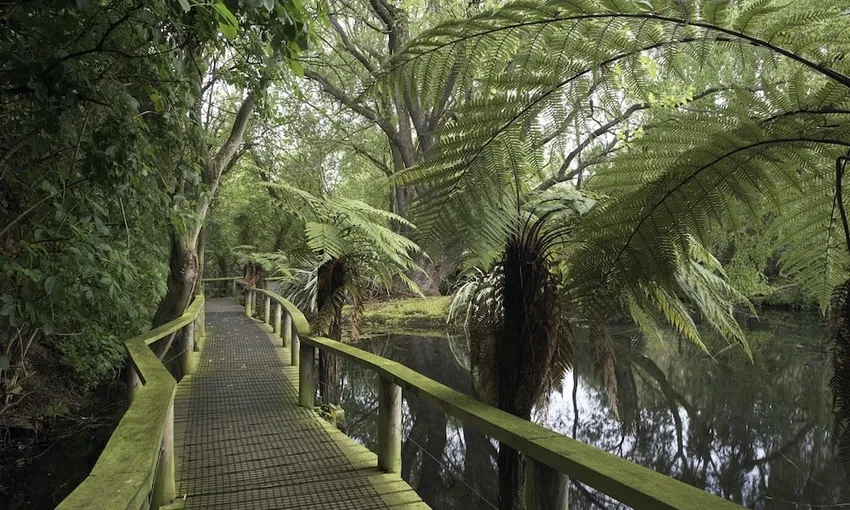 Willowbank Wildlife Reserve Admission & Tour | Experience Oz