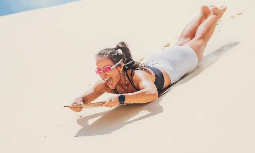 Desert Safari and Dolphin Feeding Day Trip - Tangalooma