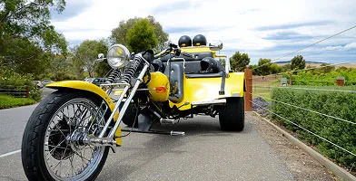 Sydney Eastern Panorama Harley Trike Tour, 1.5 Hours