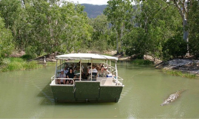 Hartley's Crocodile Adventures Half Day Tour | Experience Oz 