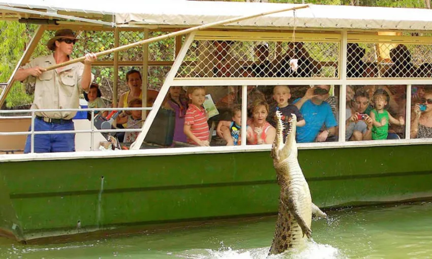 Hartley's Crocodile Adventures Half Day Tour | Experience Oz 
