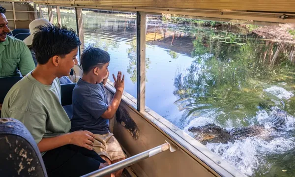 Hartley's Crocodile Adventures Half Day Tour