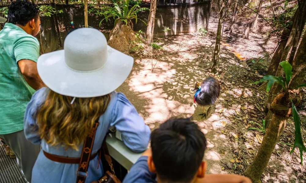 Hartley's Crocodile Adventures Half Day Tour | Experience Oz -8