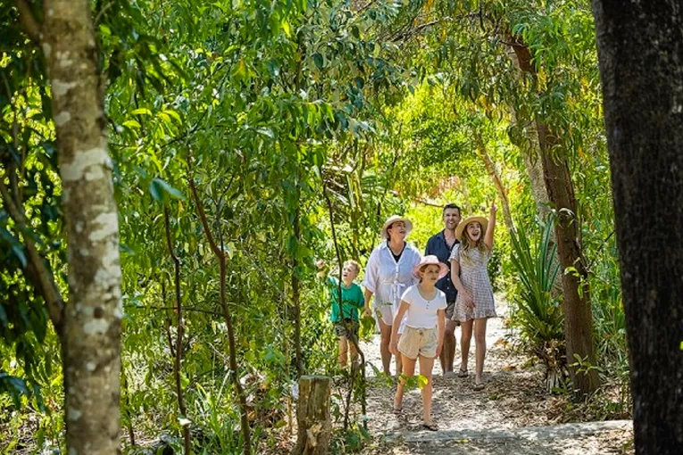  Whitsunday and Whitehaven Beach Cruise - Half Day 