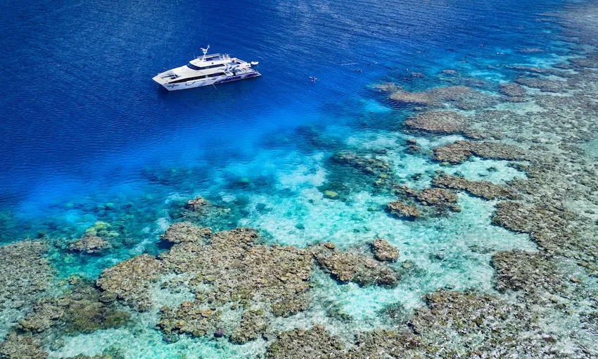 Great Barrier Reef Day Trip from Cairns
