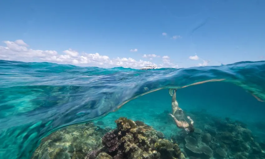 2 Day 1 Night Liveaboard on OceanQuest