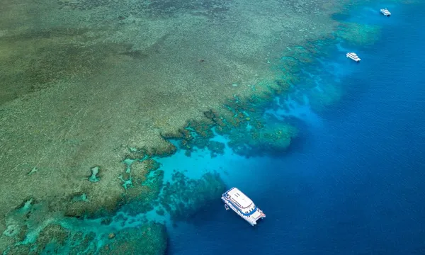 2 Day 1 Night Liveaboard on OceanQuest