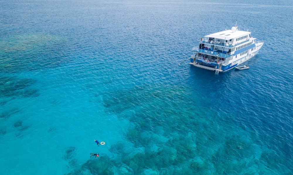 3 Day 2 Night Liveaboard on OceanQuest