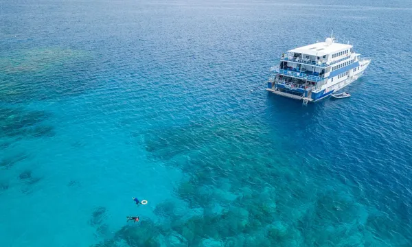 3 Day 2 Night Liveaboard on OceanQuest