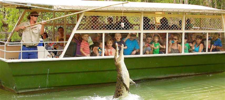 Hartley's Crocodile Adventure & Transfers - Half Day 