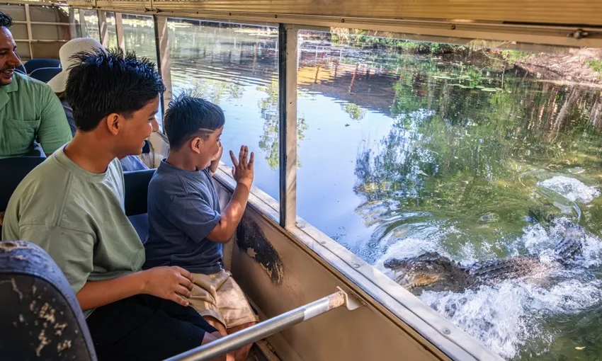 Hartley's Crocodile Adventure & Transfers - Half Day 