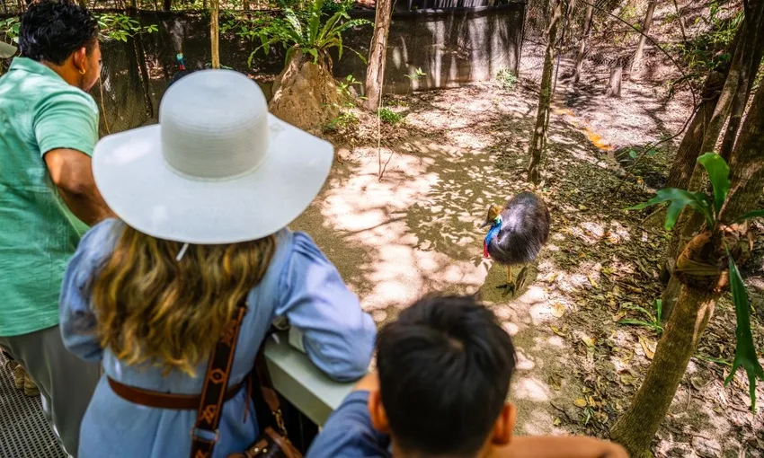 Hartley's Crocodile Adventure & Transfers - Half Day 