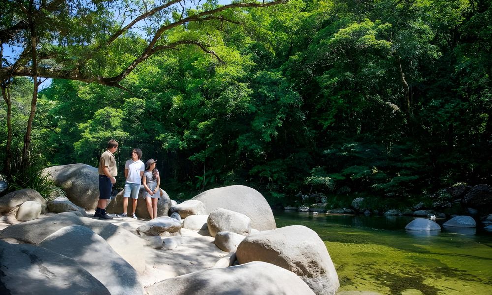 Cape Tribulation, Daintree and Mossman Gorge Guided Tour