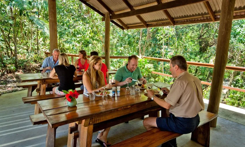 Cape Tribulation, Daintree and Mossman Gorge Guided Tour