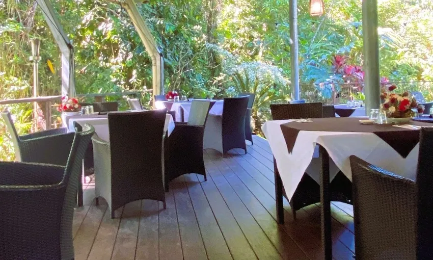Cape Tribulation, Daintree and Mossman Gorge Guided Tour
