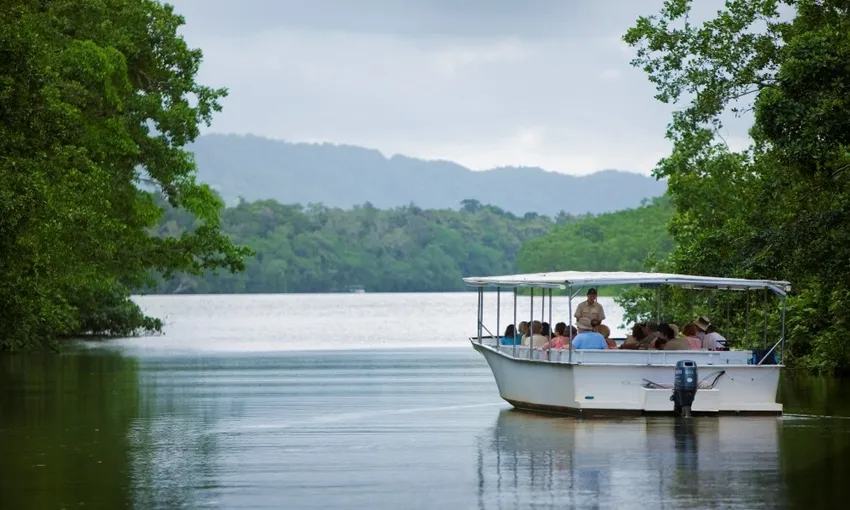 Cape Tribulation, Daintree and Mossman Gorge Guided Tour