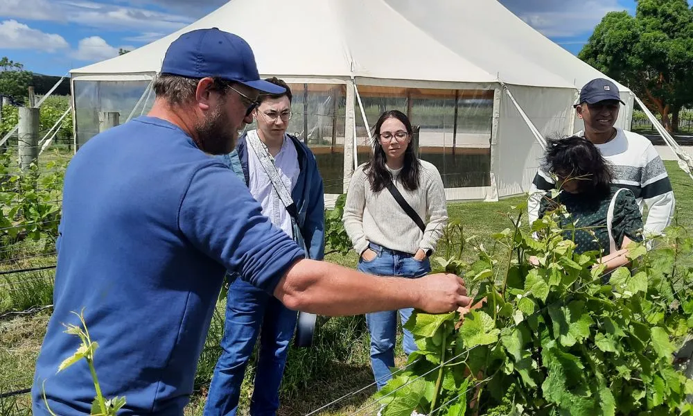 Wairarapa Taste Buds Tour - Full Day | Experience OZ-6