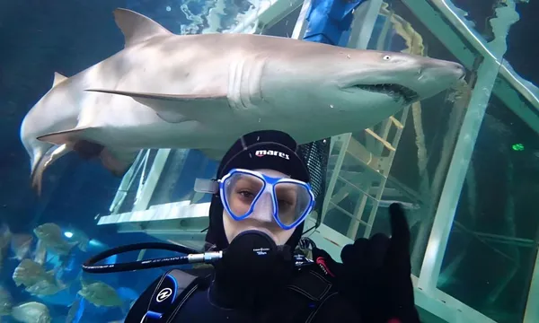 Aquarium Shark Dive Xtreme - 30 minutes - Sydney