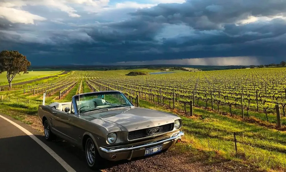 Barossa Food & Wine Trail in a Classic 1966 Mustang | Experience OZ-6