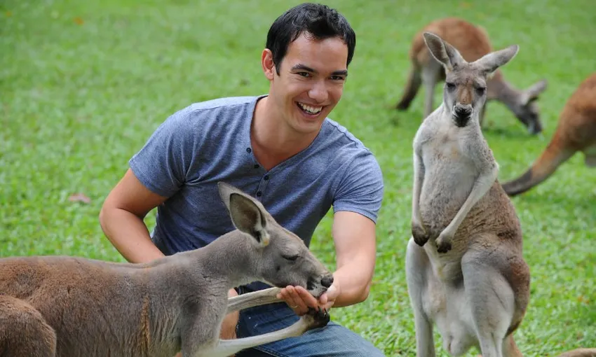 Australia Zoo Entry with Brisbane CBD Hotels Transfers | Experience Oz