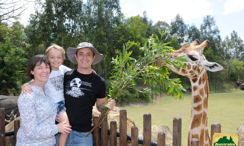 Australia Zoo Entry with Brisbane CBD Hotels Transfers | Experience Oz
