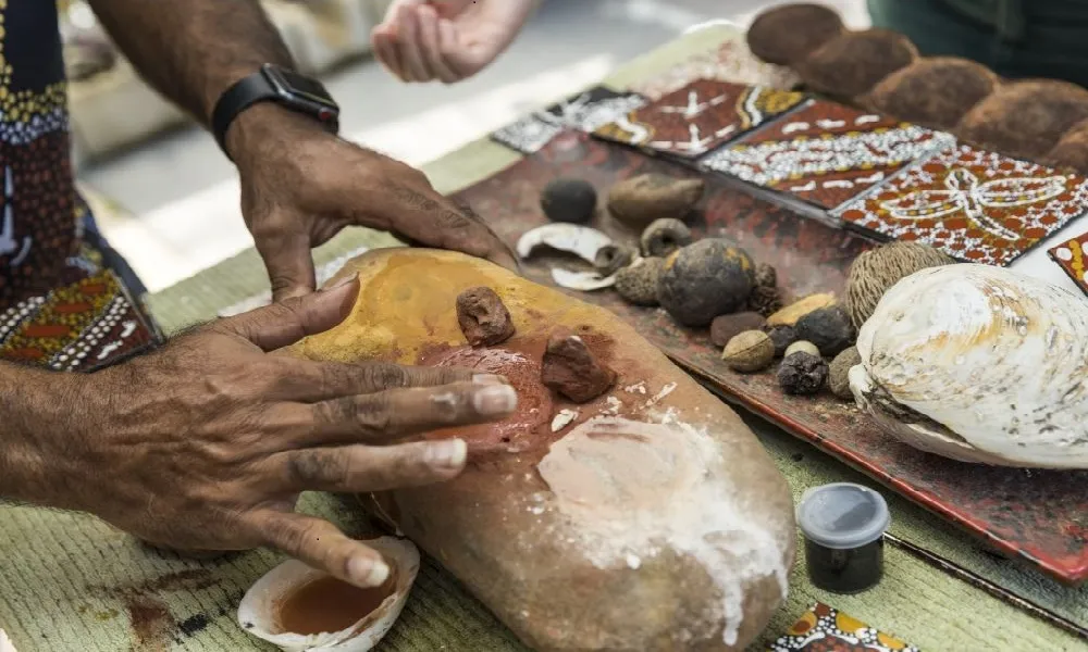 Daintree Dreaming Aboriginal Cultural Adventure | Experience Oz -5