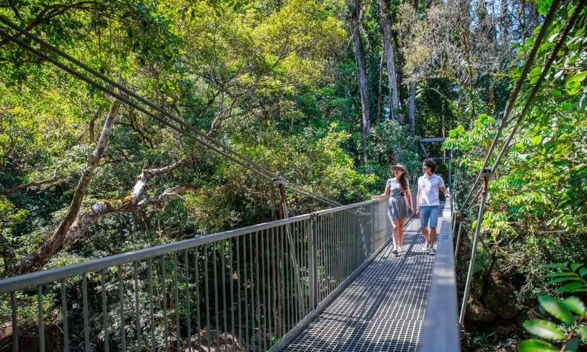 Daintree Dreaming Aboriginal Cultural Adventure | Experience Oz 