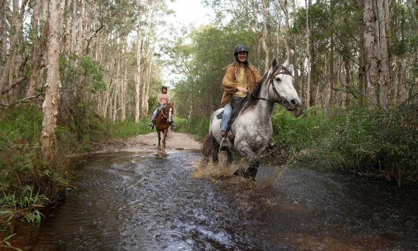 Byron Bay Guided Horse Trail Ride with Pub Lunch | Experience Oz