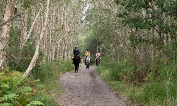 Byron Bay Guided Horse Trail Ride Experience with Pub Lunch