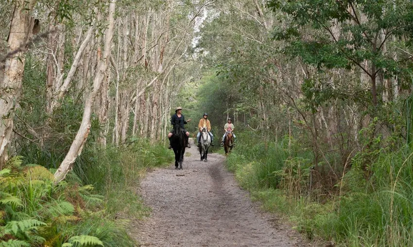 Byron Bay Guided Horse Trail Ride with Pub Lunch | Experience Oz