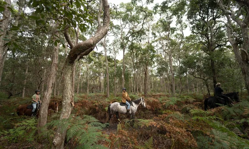 Byron Bay Guided Horse Trail Ride with Pub Lunch | Experience Oz