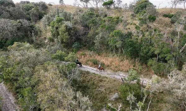 Byron Bay Guided Horse Trail Ride Experience with Pub Lunch