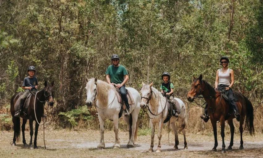 Byron Bay Guided Horse Trail Ride - 90 Minutes | Experience Oz