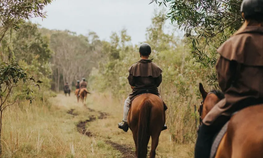 Byron Bay Guided Horse Trail Ride - 90 Minutes | Experience Oz